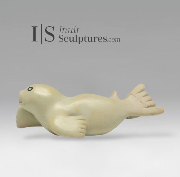 6" Seal Pup by Toonoo Sharky *Olympic Sledder*