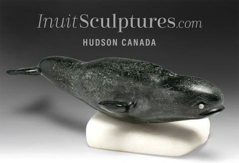 11" Beluga Whale by Archie Kattuk *Tails of the Deep*