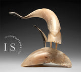 16" Muskox Horn Crane and Baby by Buddy Alikamik *Sight Lines*