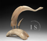 16" Muskox Horn Crane and Baby by Buddy Alikamik *Sight Lines*