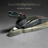 9" Loon Protecting Her Nest by Isaac Amitook *Watch Your Step*