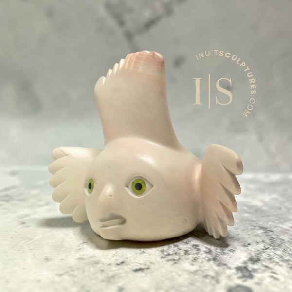 CURATOR'S CHOICE 16" SIGNATURE Owl  by Toonoo Sharky *Peony, Pretty in Pink*