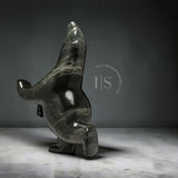 CURATOR'S CHOICE 23" SIGNATURE  Dancing Bear by Ashevak Adla *Grandstand*