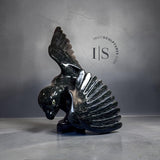 CURATOR'S CHOICE 17” SIGNATURE Hawk by Toonoo Sharky *Your Majesty*