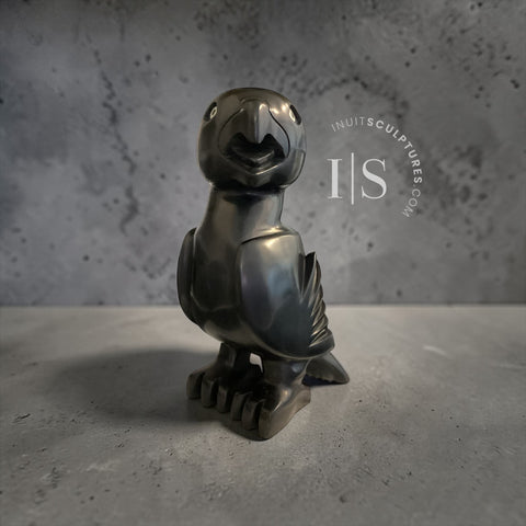 11" Owl by Toonoo Sharky