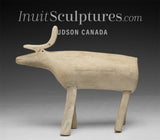 CARIBOU VINTAGE 6" par Jacob Irkok *L'instinct grégaire*