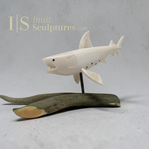 12" Alaskan Shark by Harrison Miklahook Jr *Perpetual Motion*