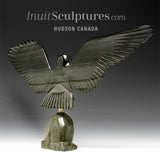 BIG HEARTED 18" Hawk by Joe Sala *Cleared For Landing*