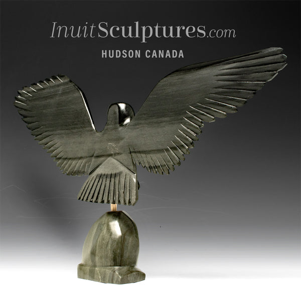 BIG HEARTED 18" Hawk by Joe Sala *Cleared For Landing*