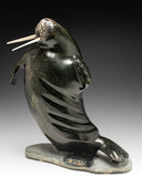 14" Dancing Walrus by Jaco Ishulutak *Frederick*