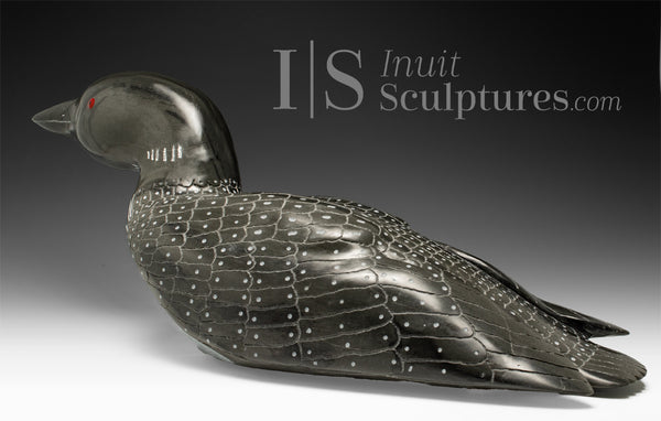 23" SIGNATURE Red Eye Loon by Jimmy Iqaluq *Pin Feathers*