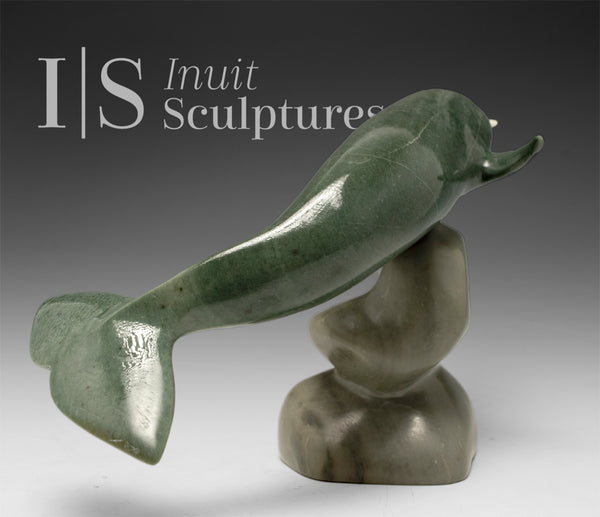 8" Narwhal by Jimmy Iqaluq *Toothy Grin*