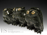 13" SIGNATURE Owls by Joanasie Manning *Parliament is in Session*