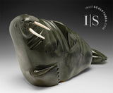 VINTAGE** 16" Basking Walrus by Samwillie Iqaluq *Titan*