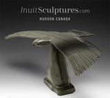 20" Hawk by Joe Sala *Stealth Fighter*