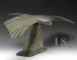 20" Hawk by Joe Sala *Stealth Fighter*