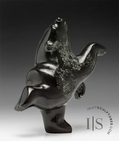 7" Dancing Bear by Johnny Manning *Star Dust*