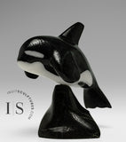 6” SIGNATURE Orca by Johnnysa Mathewsie *Top Gun*