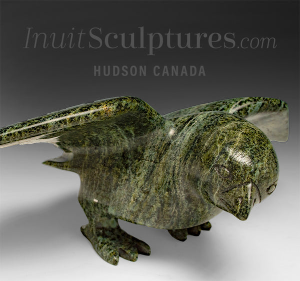 11" SIGNATURE Hawk by Killiktee Killiktee *Green Hawk Down*
