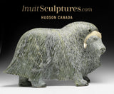 17" SIGNATURE Muskox by Lucassie Ikkidluak "Limey*