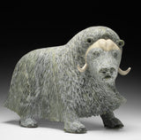 17" SIGNATURE Muskox by Lucassie Ikkidluak "Limey*