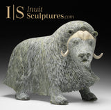 17" SIGNATURE Muskox by Lucassie Ikkidluak "Limey*