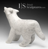 17" Arctic Wolf by Matt Flaherty *Aspen*