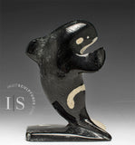 5" Orca Whale by Kelly Etidloie *Surfer Boy*