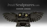 10" Owl by Toonoo Sharky