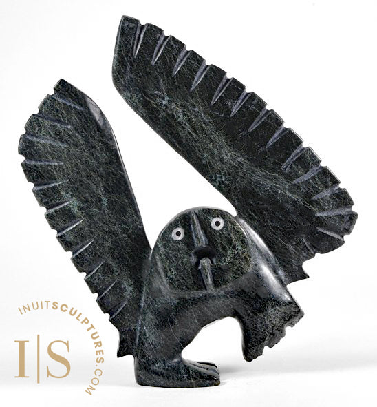 13" SIGNATURE Owl by Palaya Qiatsuq *Blackout*