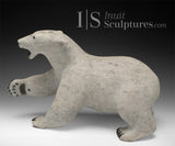 12" Polar Bear by Paul Malliki *Swipe Left*
