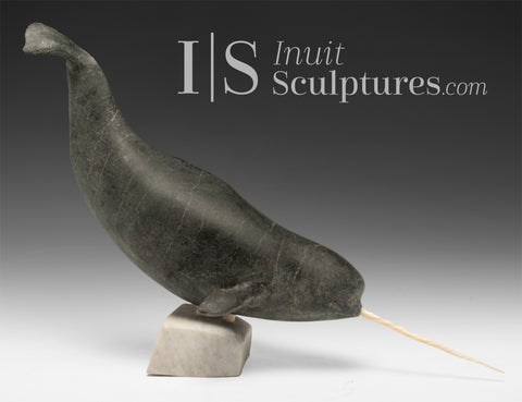 12" Museum Calibre Narwhal by Paul Malliki *Submariner*