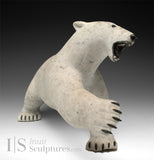 12" Polar Bear by Paul Malliki *Swipe Left*