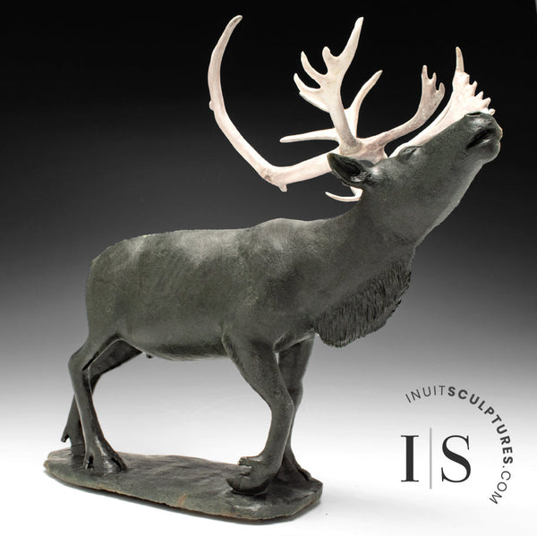 22" Museum Calibre Caribou by Paul Malliki *His Majesty*