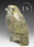 THE VERY LAST ONE 9" SIGNATURE Owl by the Late Pits Qimirpik (1968-2024) *Tawny Girl*