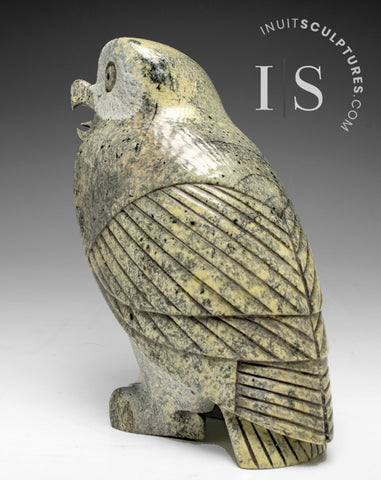 THE VERY LAST ONE 9" SIGNATURE Owl by the Late Pits Qimirpik (1968-2024) *Tawny Girl*