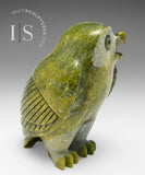 6" SIGNATURE Owl by Pits Qimirpik *Jake*