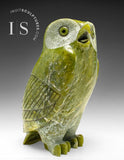 THE VERY LAST ONE 8" SIGNATURE Owl by the Late Pits Qimirpik (1968-2024) *Shining Light*