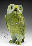 THE VERY LAST ONE 8" SIGNATURE Owl by the Late Pits Qimirpik (1968-2024) *Irish Eyes*