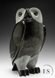 10" SIGNATURE Owl by Pits Qimirpik *Clooney* CURATOR'S CHOICE