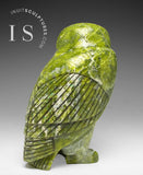 THE VERY LAST ONE 8" SIGNATURE Owl by the Late Pits Qimirpik (1968-2024) *Irish Eyes*