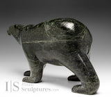 8.5" SIGNATURE Walking Bear by Tim Pee *Strutting His Stuff*