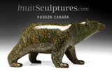 13" SIGNATURE Walking Bear by Tim Pee *Callisto*