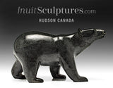 8.5" SIGNATURE Walking Bear by Tim Pee *Sully*