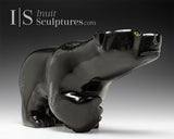 14" Walking Bear by Toonoo Sharky *When Irish Eyes Are Smiling*