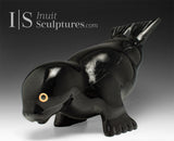 11" Seal by Toonoo Sharky *Hands Down*