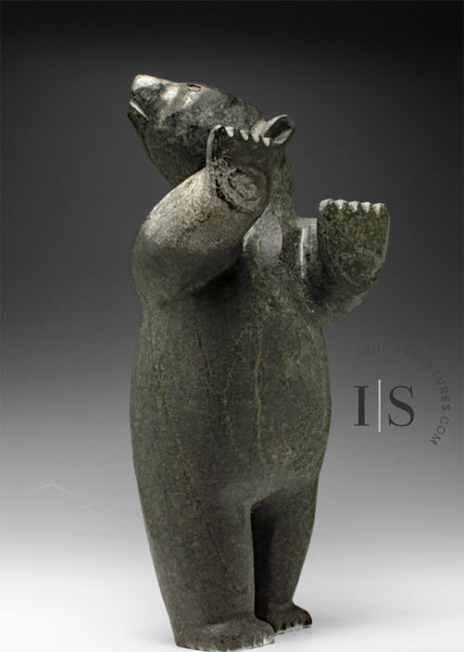 BIG HEARTED 22" Standing Bear by Willie Kolola *What's That?*