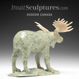 8" Moose by Peter K. *Musings II*