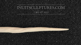 30" Perfect Tip Ivory Narwhal Tusk Regulated by Canadian Gov Now Rare