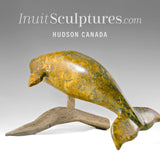 10"  Beluga Whale by Louie Uttaq *Heading Home*